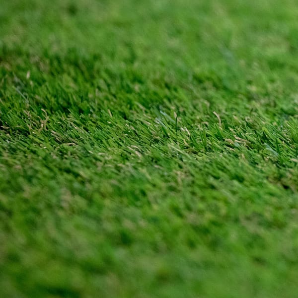Fairway and Semi-Rough Grass - Image 2
